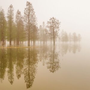 RETIRO: Silencio y meditación