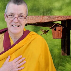 Cursos especial con guenla Dekyong (KMC Málaga)